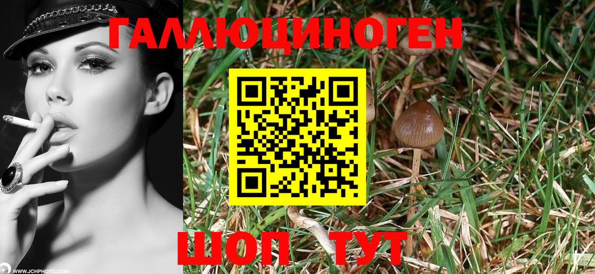 Галлюциногенные грибы MAGIC MUSHROOMS Хабаровск